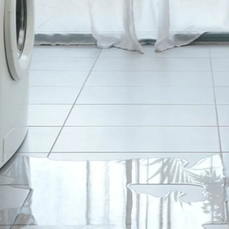 Appliance Leak Cleanup in Marion County, AL