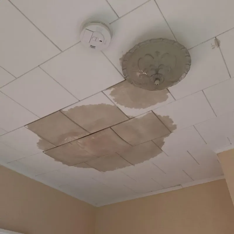 Ceiling Water Damage Repair in Marion County, AL