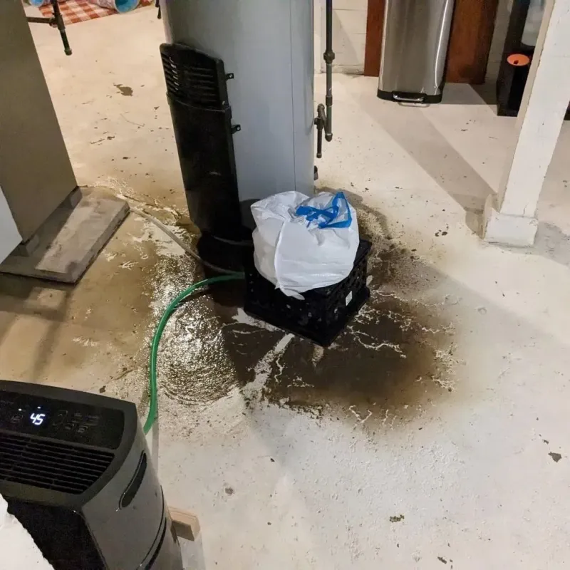 Sewage Backup Cleanup Service in Marion County, AL